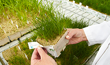 New portfolio shows what seeds and science can produce